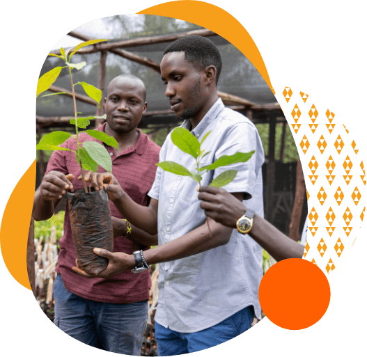 Two men holding a plant together